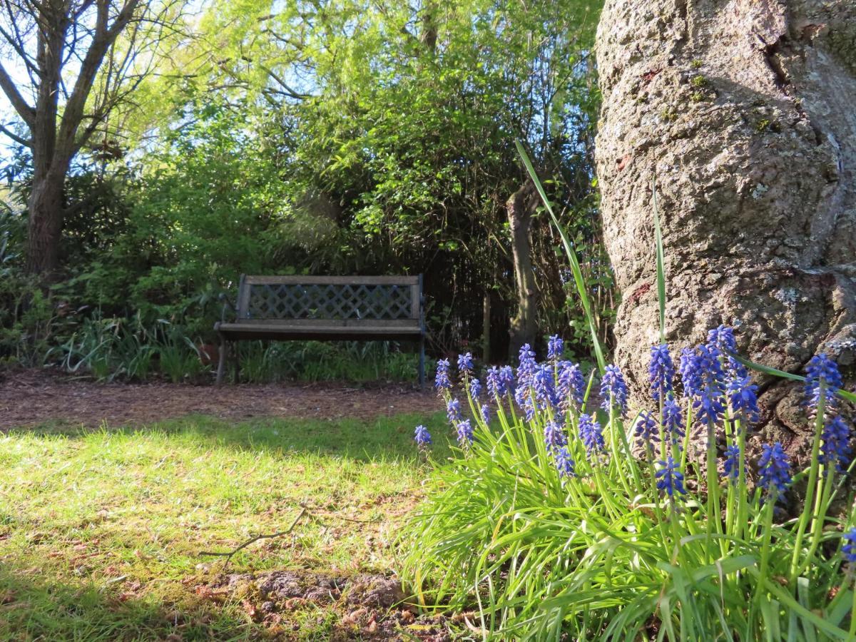 La Quitapenas Villa Ronse Kültér fotó