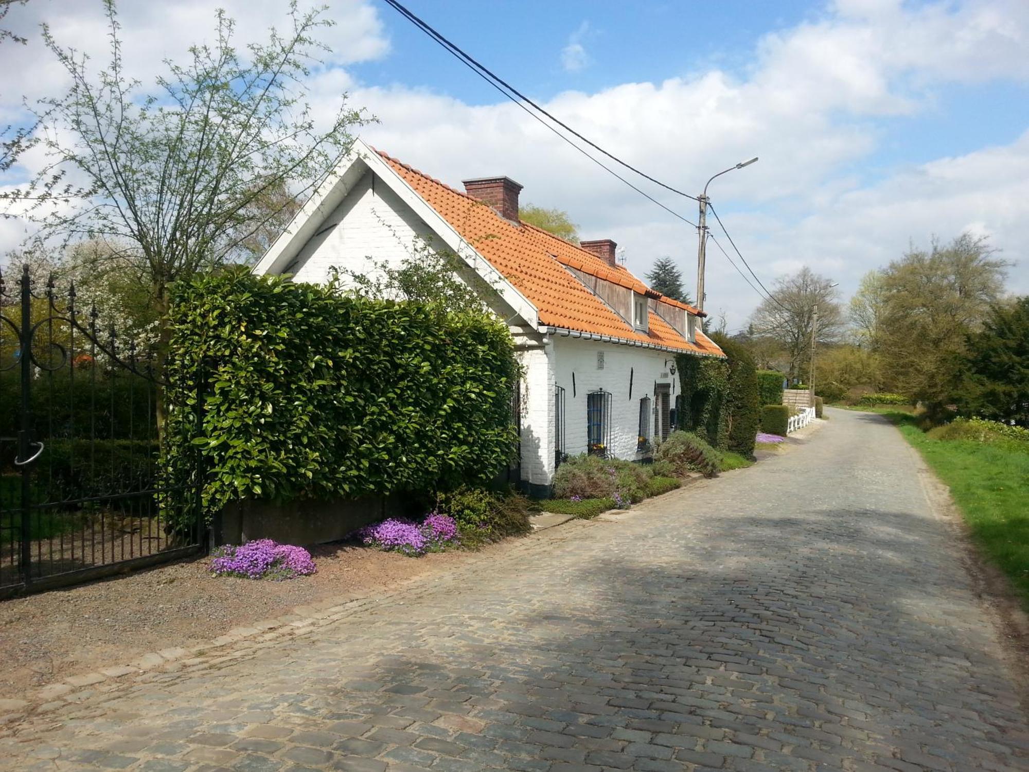 La Quitapenas Villa Ronse Kültér fotó