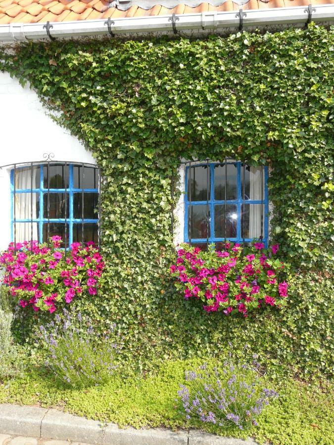 La Quitapenas Villa Ronse Kültér fotó