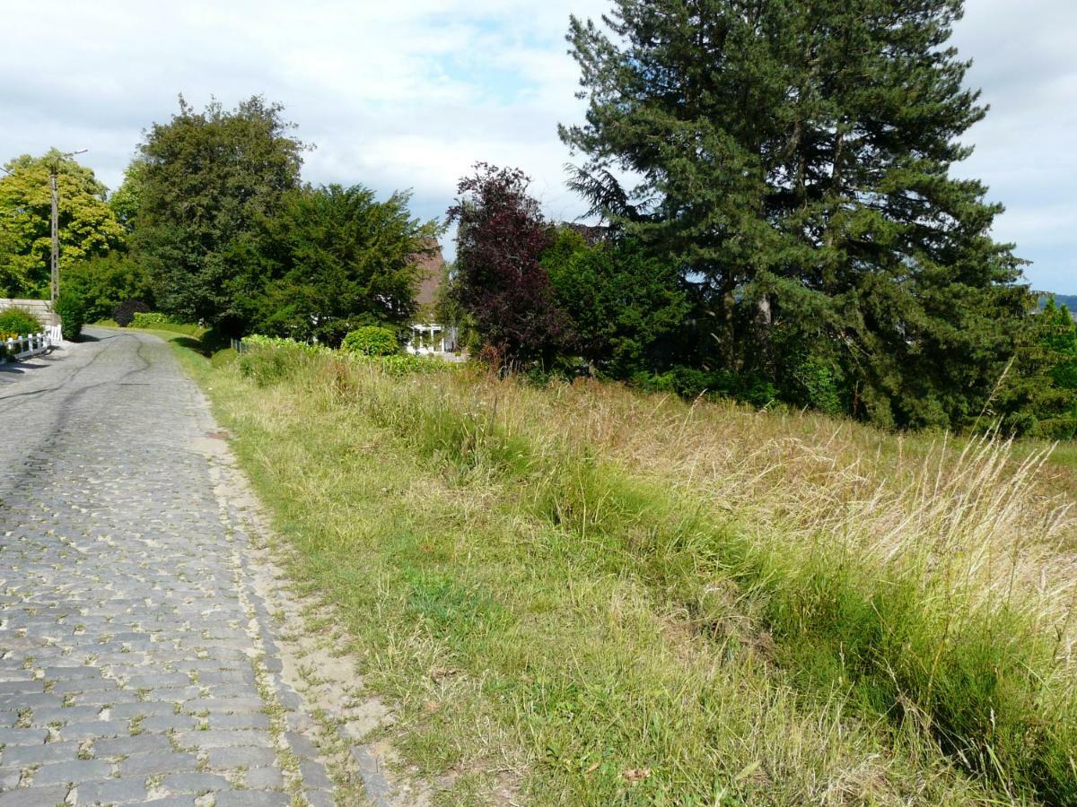La Quitapenas Villa Ronse Kültér fotó