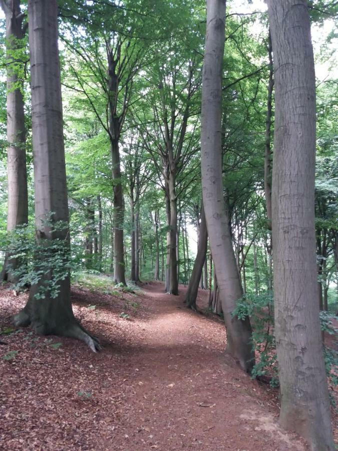 La Quitapenas Villa Ronse Kültér fotó