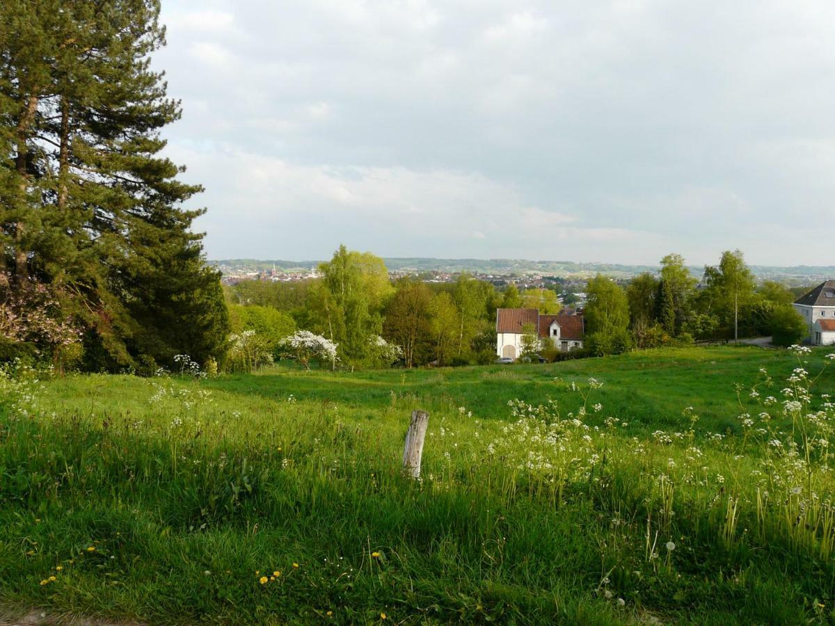 La Quitapenas Villa Ronse Kültér fotó